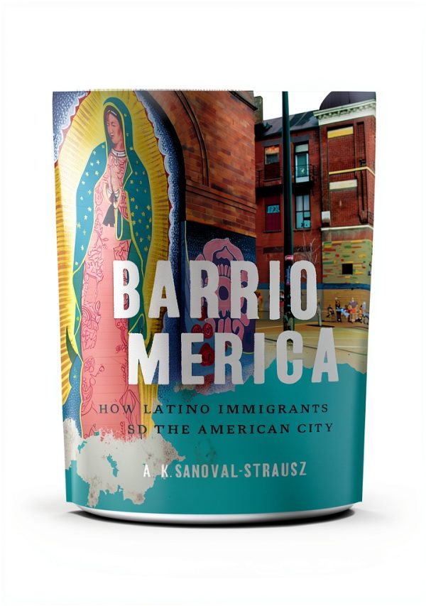 Hispanic American Demographic Studies by Basic Books Kindle Edition-0